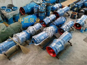 農(nóng)用抗旱防汛潛水軸流泵 大流量井筒式軸流泵廠價(jià)直銷(xiāo)